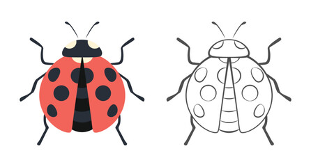 Ladybug color illustration and outline. Cartoon flat simple illustration. Vector insect icon. Logo concept. © Iv85