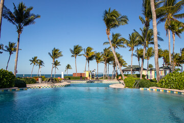 swimming pool in a tropical resort