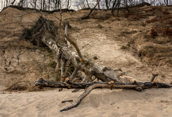 Landschaft an der Küste, Insel Rügen, Mecklenburg-Vorpommern, Deutschland