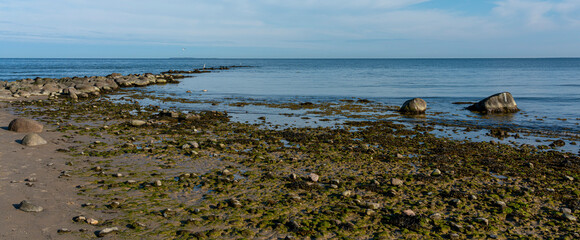 Landschaft an der Küste, Insel Rügen, Mecklenburg-Vorpommern, Deutschland