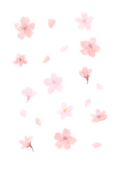 ふんわりかわいい桜の花の水彩イラスト