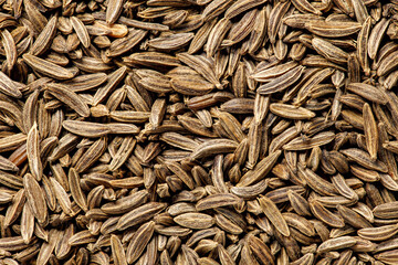 Cumin grains, small seed, background uniform texture, bunch in bulk close-up macro top view