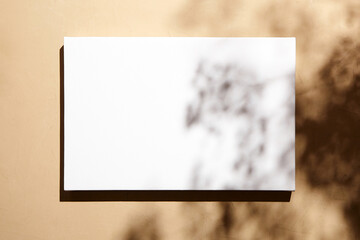 White canvas, blank picture mockup hanging on beige wall with dark shadows of leaves. Poster mockup, empty canvas with shadows of plant, front view