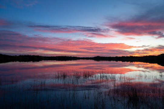 Colorful sunrise cloudscape reflected in calm water of Nine Mile Pond in Everglades National Park, Florida. © Francisco