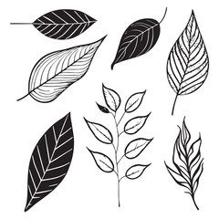 Fototapeta premium set of leaves black outline texture vector, leaf outline illustration