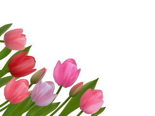 Fototapeta premium Spring flowers. Floral background. Tulips. Beautiful illustration. Red. Pink. Green leaves. Border. Bouquet. March 8.