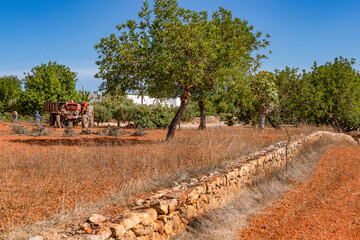 The Natural Side to Ibiza away from the tourist areas