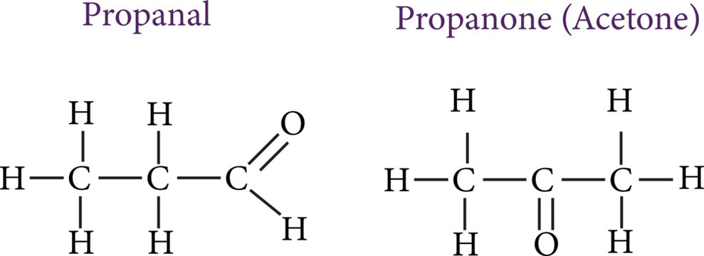 An example of functional isomerism , vector image