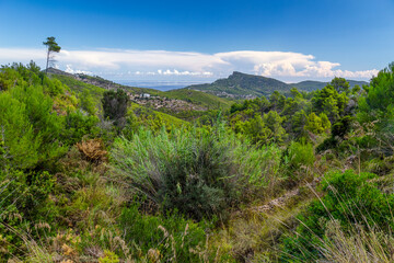 The Natural Side to Ibiza away from the tourist areas