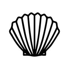 seashell line art vector illustration