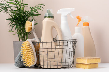 Set of eco-friendly cleaning tools on beige background with green plant. Concept of spring cleaning...