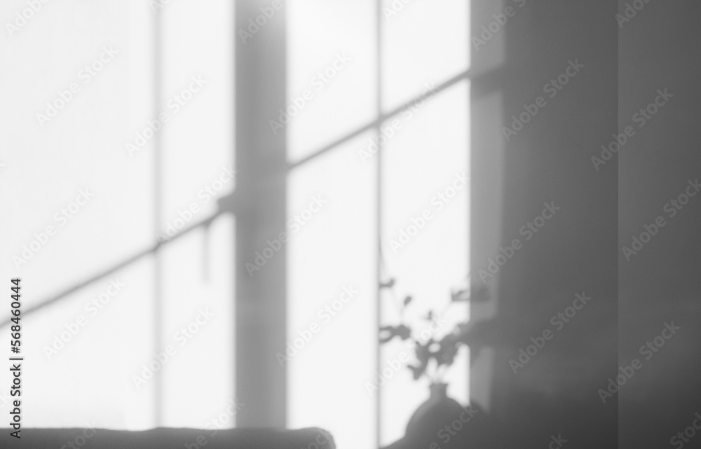 Poster concrete wall texture background with leaves shadow,grey cement wall room with window light and shad
