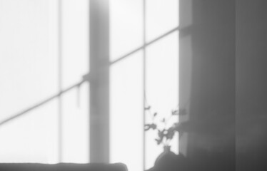 Concrete wall texture background with leaves shadow,Grey Cement Wall room with Window light and shadow,Backdrop background with Window frame overlay, Background with copy space for text presentation