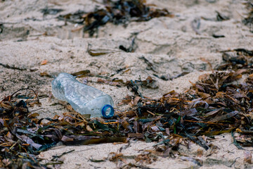environmental concept 02 Plastic bottle in the seashore
