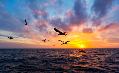 Fototapeta na wymiar Sunset sky over the sea with seagull,