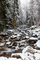 winter landscape, mountain river flows between rocks in snow, coniferous forest frost on branches, heavy snowfall