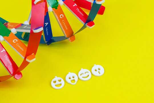 DNA helix structure and smiling heart. Temperament determined by genetics. Physical and Personality Traits from DNA. Health and medical educational concept - Powered by Adobe