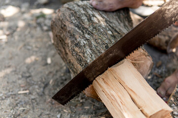 old latino man chopping wood with a saw
