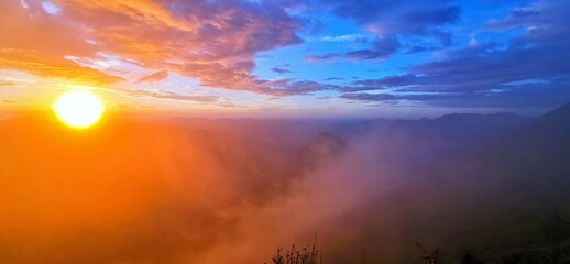 Fototapeta premium natur