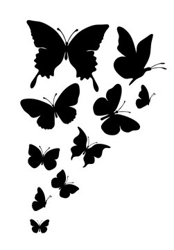 Flock of silhouette black butterflies on white background