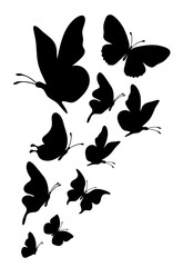 Flock of silhouette black butterflies on white background