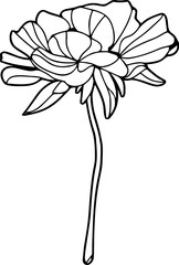 Black line drawing of peonies on a white background. Decor for cards, invitations, textiles, wallpaper, covers, clothes
