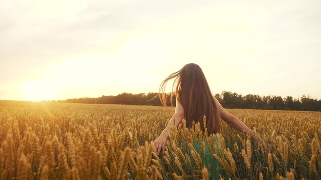 free girl run across the wheat field in fun the park. agriculture kid children dream concept. girl farmer hands to sides runs across the wheat field. happy free girl run in park agricultural land