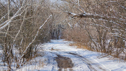 Zmny landscape, snow, beauty, nature.