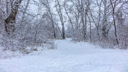Zmny landscape, snow, beauty, nature.