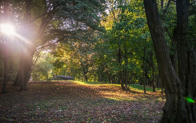 Naklejka premium Parks and nature in spring, summer and autumn. 