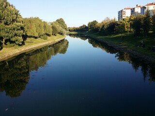 reflections in the water