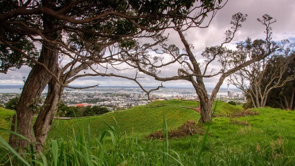 Overlooking Auckland City, Mount Eden, New Zealand