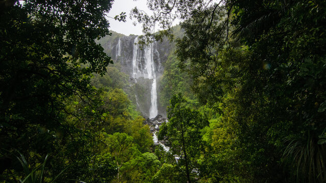 Wairere Falls, Matamata, New Zealand