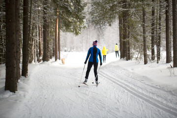 Woman cross country skiing on a sunny winter morning