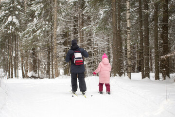 Father and daughter skiing in winter in the forest.Cross country ski.