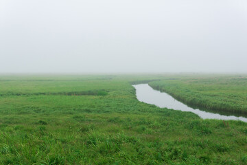 morning landscape, a vast meadow with calm river among lush grass is hidden by fog