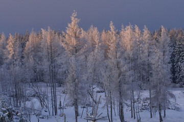 Winter im Erzgebirge	