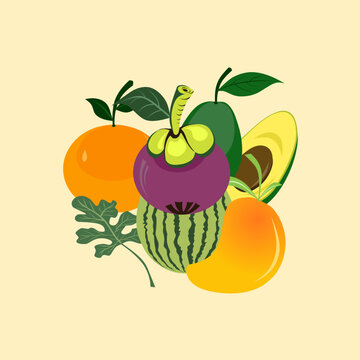 Vector illustration design of various kinds of fresh fruits that contain vitamins and are good for the body to consume.  Orange, mango, watermelon, avocado and mangosteen
