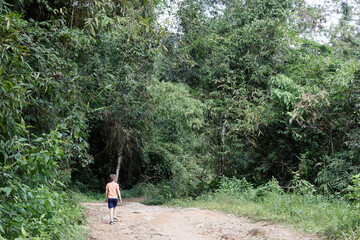 Hike in the Atlantic forest in the rain forest ne`ar Rio de Janeiro, Brazil. Walking trail with lots of veggetation