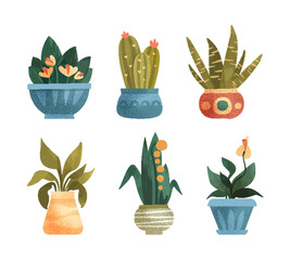 Green Plants and Botany Growing in Ceramic Pots as Home Decor Vector Set
