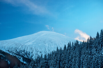 Winter mountain landscape. Hoverla(2,061 meters) - the highest mountain in Ukraine. Pine forest