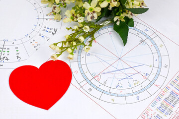 Printed astrology birth chart and white flowers, heart. Love affair astrology blueprint. Esoteric...