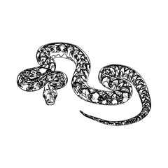 Black and white sketch of a snake with transparent background