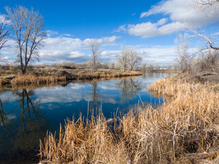 High desert winter landscape in western Colorado 