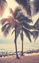 Retro toned picture of an empty tropical beach, travel concept.