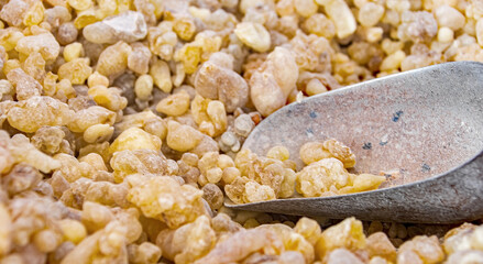 High quality frankincense resin from Oman 

