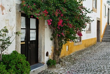 Fototapeta na wymiar Typical traditional architecture in Obidos, Centro - Portugal