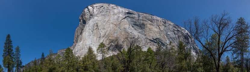 Fototapeta na wymiar El Capitan - Yosemite NP