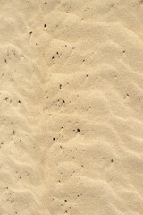 Close up of beach sand background