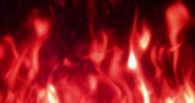 Beautiful Fire Scarlet Flame 4K